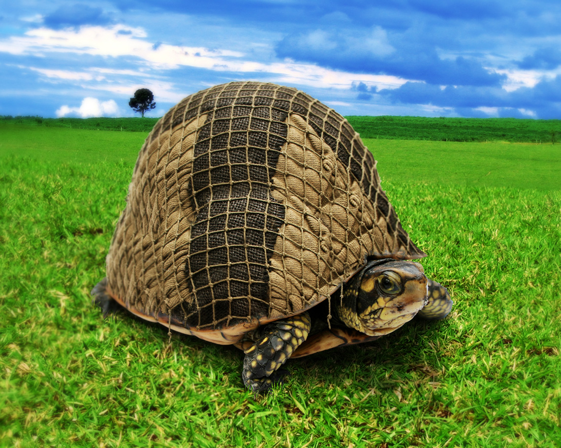 Tankturtle